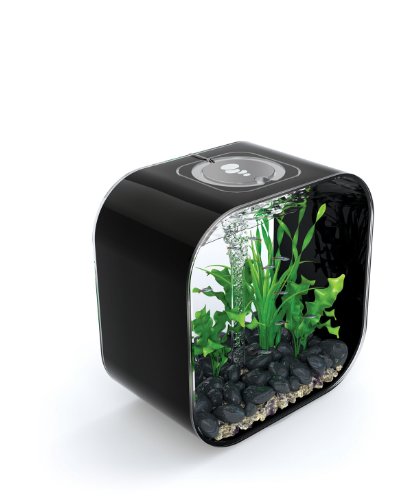 biOrb LIFE 30, schwarz - innovatives Design-Aquarium / Komplett-Set aus Acryl-Glas mit LED-Beleuchtung, Filter-System und Boden-Keramik von biOrb