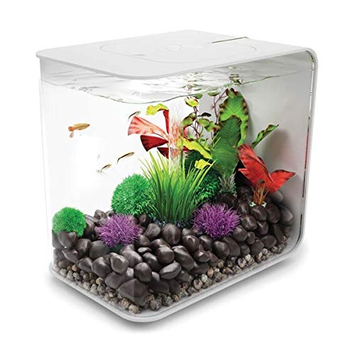 biOrb FLOW LED Aquarium - Aquarien Komplett-Set mit LED Beleuchtung und patentiertem Filter-System, Acryl-Becken von biOrb