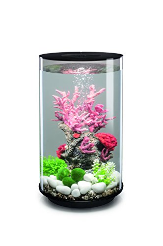 biOrb TUBE 30 LED Aquarium, 30 Liter - Aquarien Komplett-Set mit LED Beleuchtung und patentiertem Filter-System, Acryl-Becken von biOrb