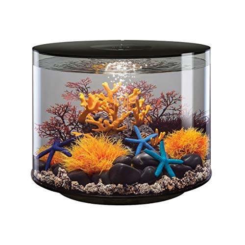 biOrb TUBE 35 LED, schwarz - 360-Grad Deko-Aquarium / Komplett-Set aus Acryl-Glas mit LED-Beleuchtung, Filter-System und Boden-Keramik von biOrb