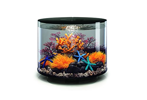 biOrb TUBE 35 LED Aquarium, 35 Liter - Aquarien Komplett-Set mit LED Beleuchtung und patentiertem Filter-System, Acryl-Becken in Schwarz von biOrb