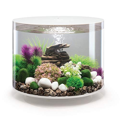 biOrb Aquarium 35 Liter LED weiß für Fisch, Acryl, Oval, Modern, Durchsichtig von biOrb