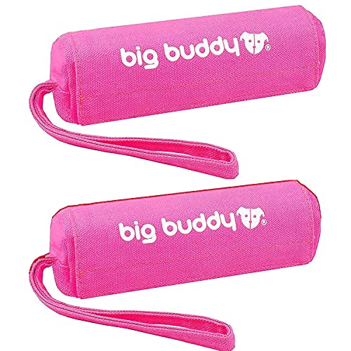 big buddy Canvas Futterdummy, Futterbeutel für Hunde, Apportierdummy zur Hundeerziehung (2X, Pink) von big buddy