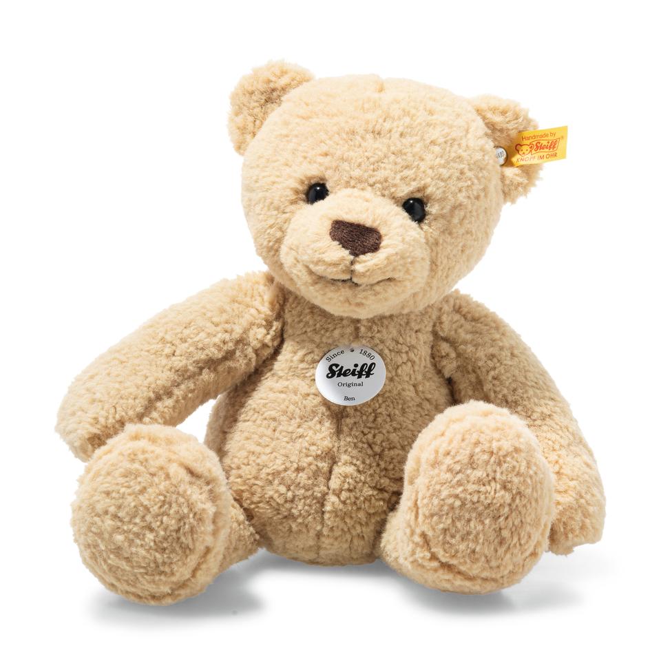 113963 Teddy Ben