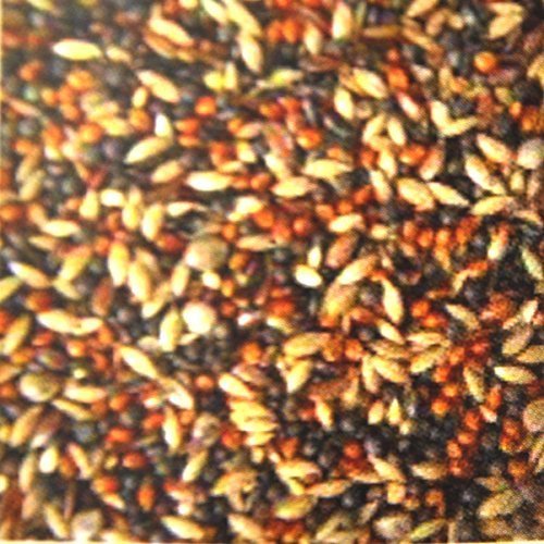 2,5 kg Zeisig-Stiegitz-Futter, Spezialfutter für freilebende Vögel, Vogelfutter 2,5 kg Zeisig-Stiegitz-Futter, Spezialfutter für freilebende Vögel, Vogelfutter