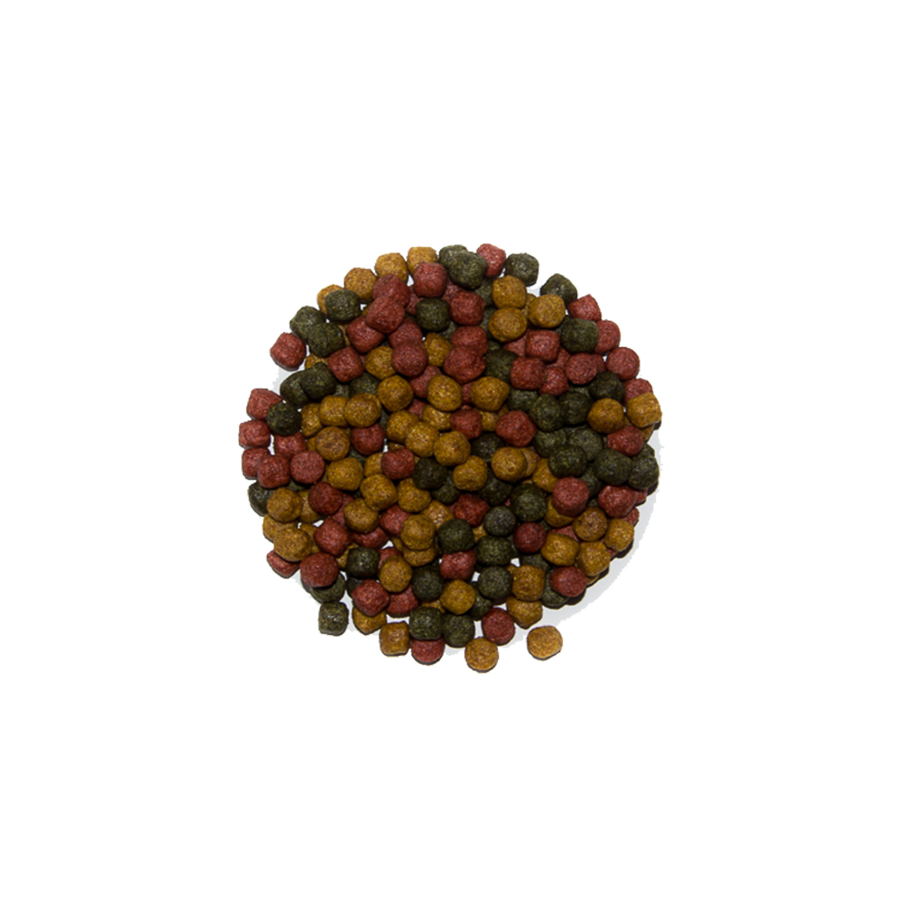 2 Säcke KOI PARADISE Allround-Mix 30kg 1x 15kg 3mm + 1x 15kg 6mm