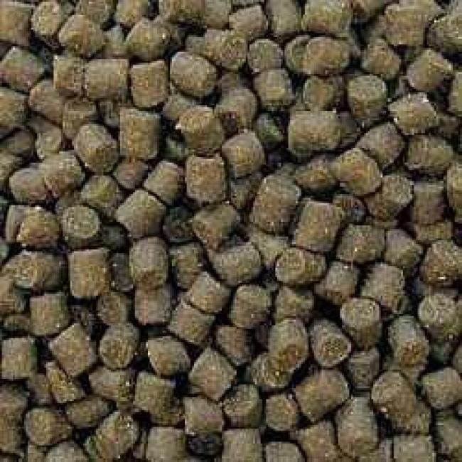AL-Profi-Futter Stör d 2 mm 25 kg, 45% Protein, 17% Fett
