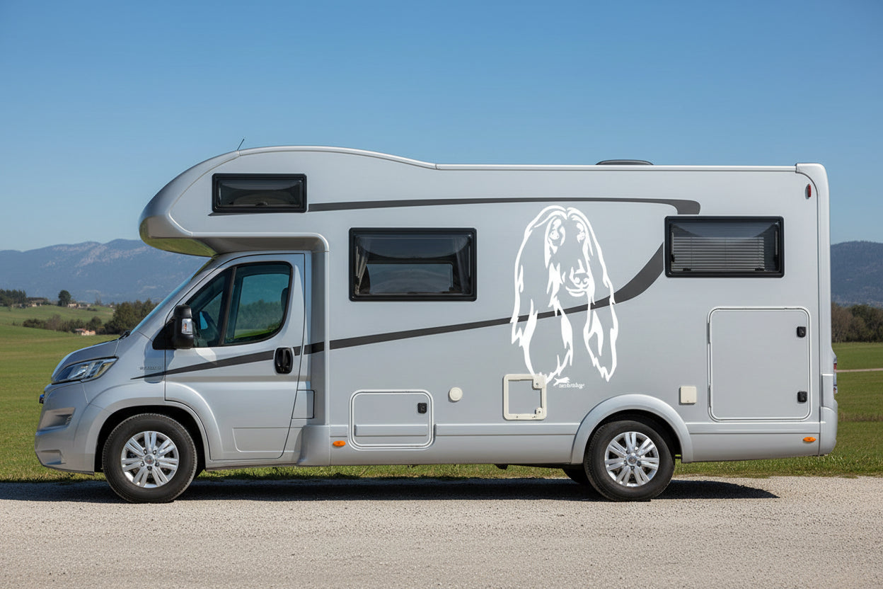 Afghane Kopf Wohnmobil Aufkleber I Wandtattoo - 50cm / Weiß