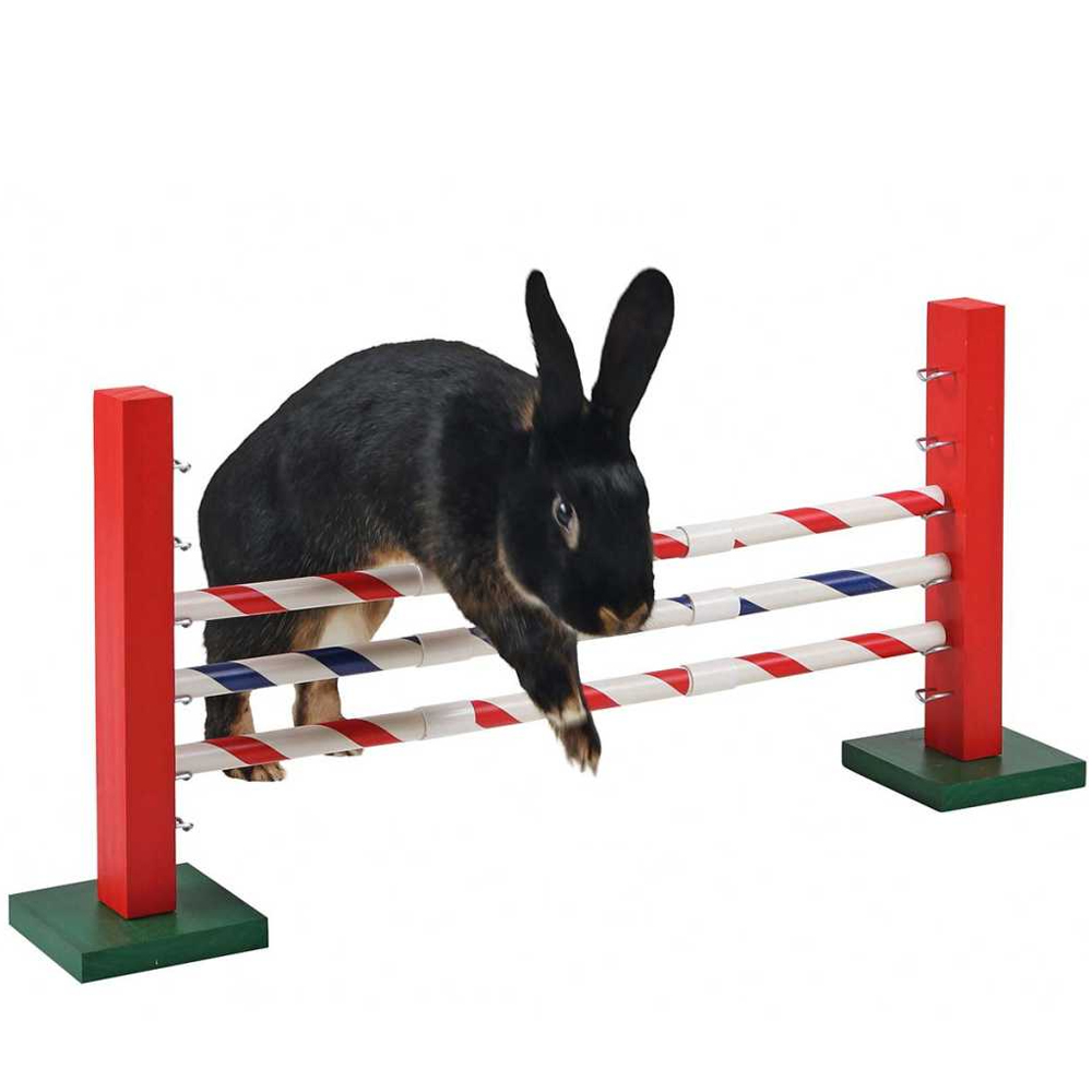 Agility Nager/Kaninchen Steilsprung 70 x 5 x 35 cm