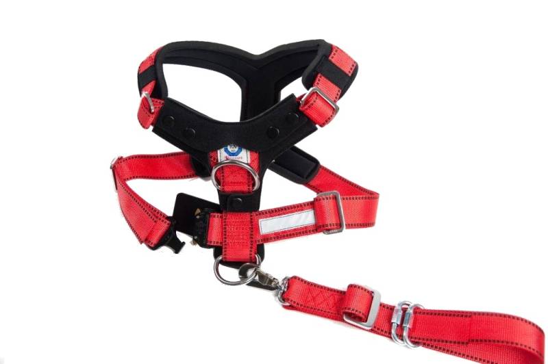 Allsafe Comfort Größe XL