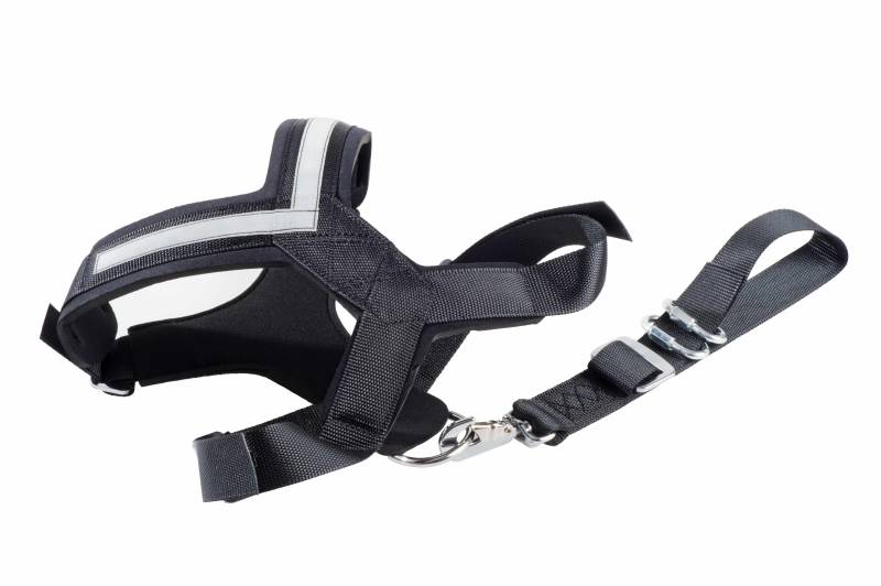 Allsafe Größe XL