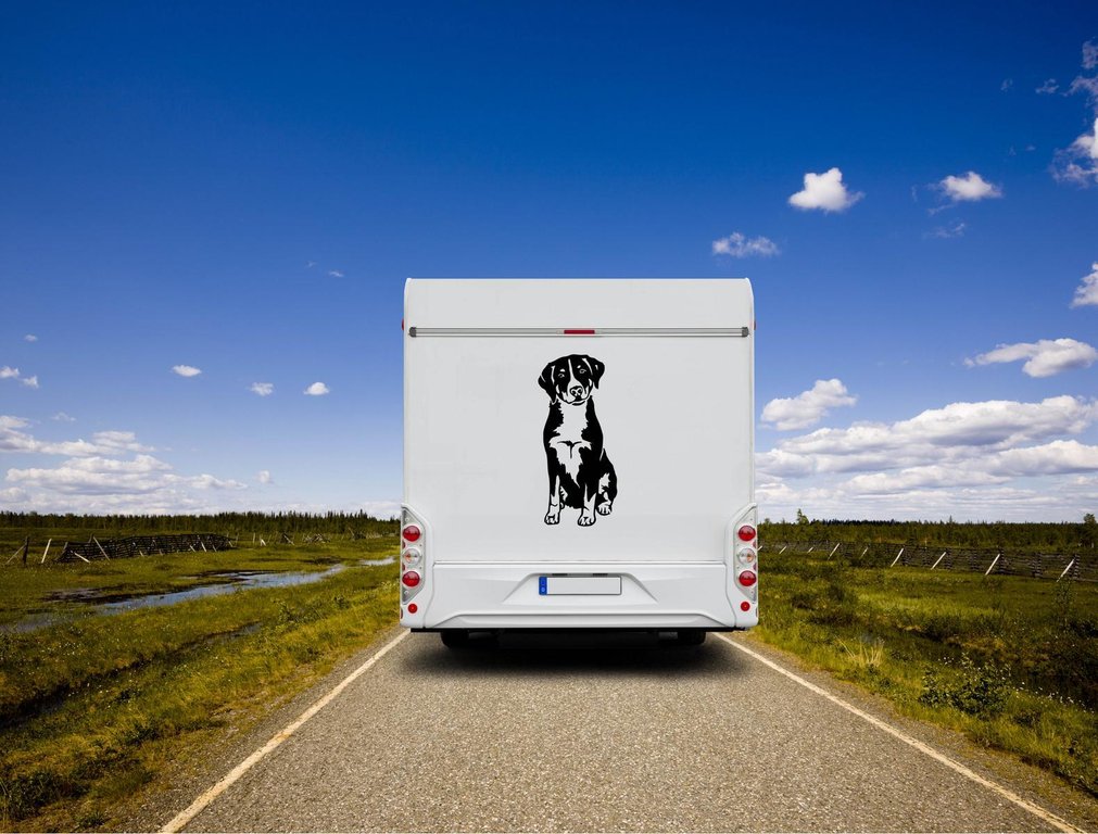 Appenzeller Sennenhund Auto Wohnmobil Aufkleber I Wandtattoo - H50cm / Weiß
