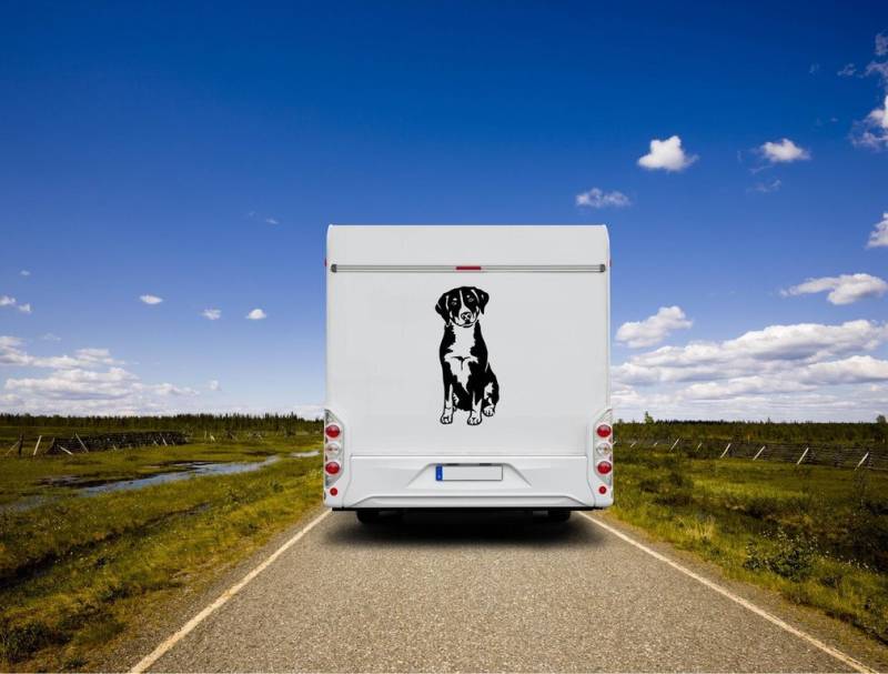 Appenzeller Sennenhund Auto Wohnmobil Aufkleber I Wandtattoo - H50cm / Weiß