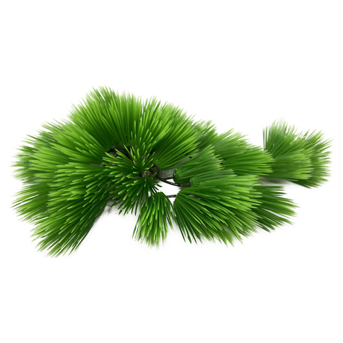 Aqua Della Aquarium Dekoration Eleocharis grün