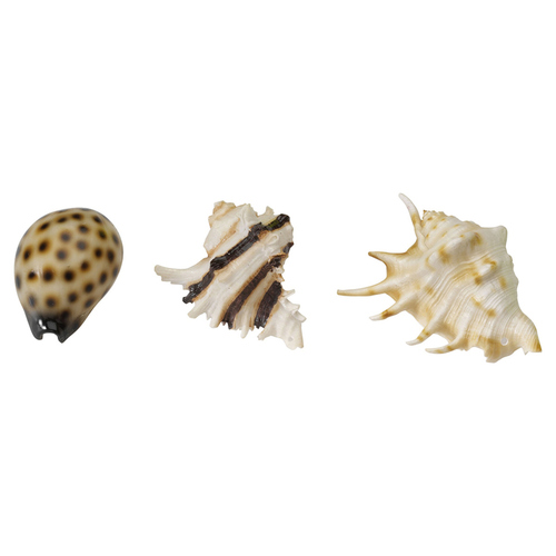 Aqua Della Aquarium Dekoration Sea Shell Mix