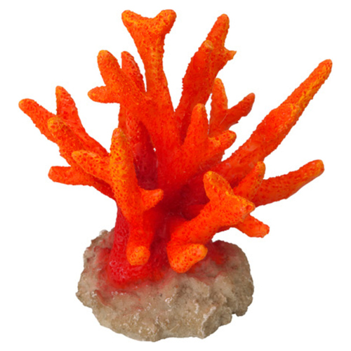 Aqua Della Aquariumdekoration Koralle Seriatopora orange
