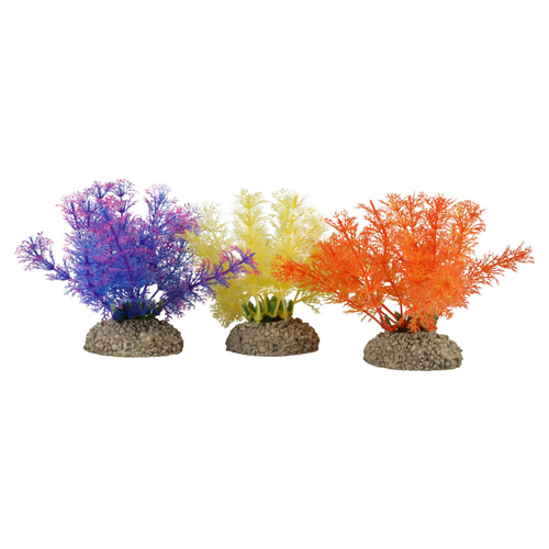 Aqua Della Aquariumpflanze Wasserfeder farbig