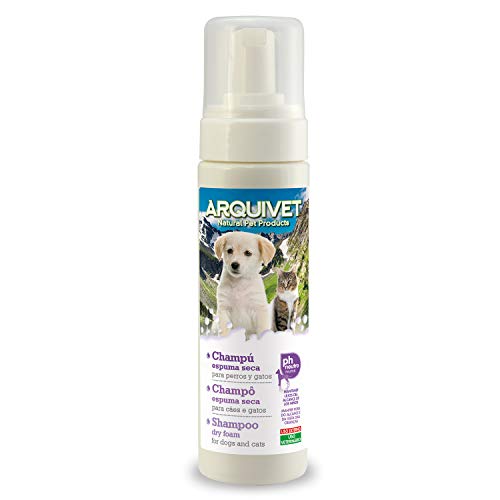 Arquizoo Trockenschaum-Shampoo 200 ML Arquizoo Trockenschaum-Shampoo 200 ML von Arquivet