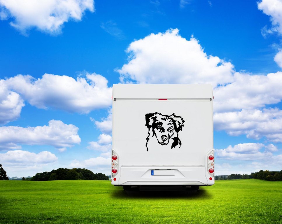 Australian Shepherd Kopf Wohnmobil Aufkleber l Wandtattoo - H50cm / Weiß