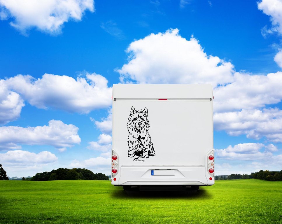 Australian Terrier Wohnmobil Aufkleber I Wandtattoo - H50cm / Weiß