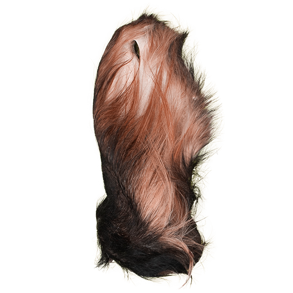 BLACK CANYON Kalbs-Ohren mit Fell – Natürlicher Kausnack für Hunde (2 Stk.) - 10er Sparpaket