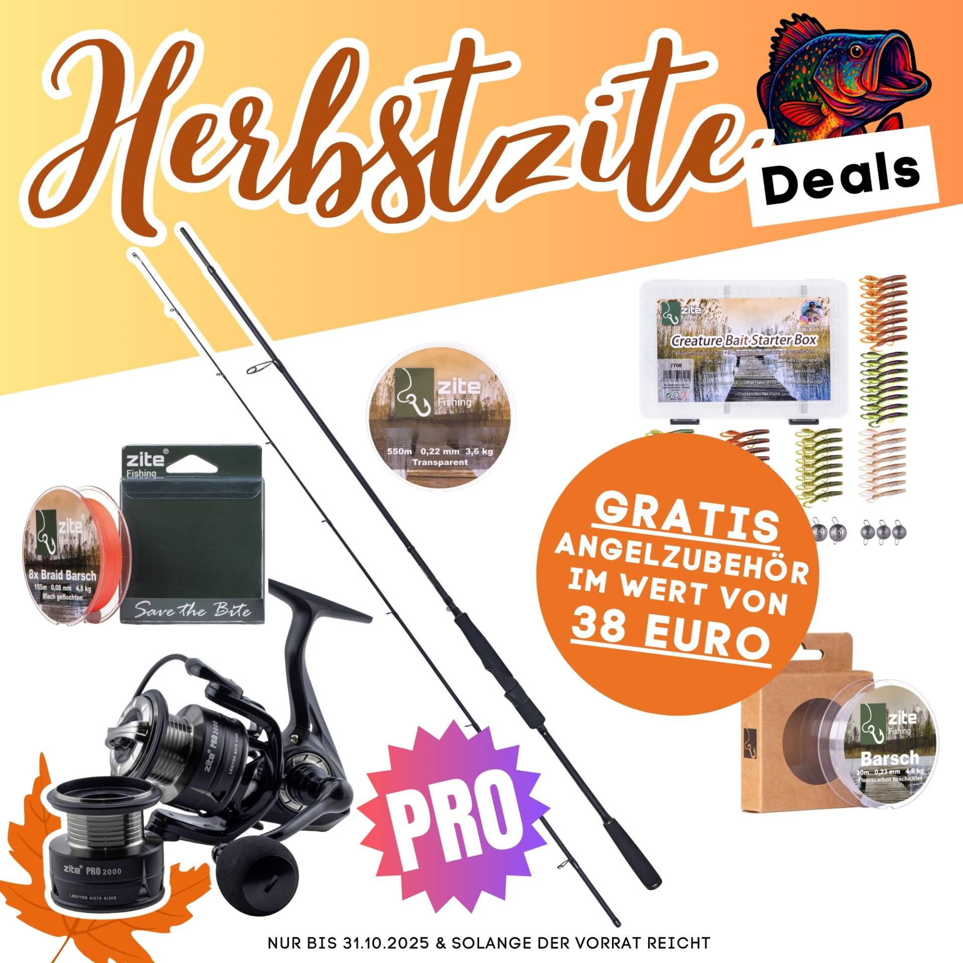 Barsch Pro Komplettset - Inzite Pro Stick Perch, Spinnig Reel Pro 2000, Angelschnur & GRATIS Zubehör