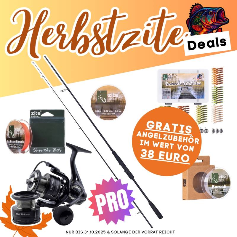 Barsch Pro Komplettset - Inzite Pro Stick Perch, Spinnig Reel Pro 2000, Angelschnur & GRATIS Zubehör