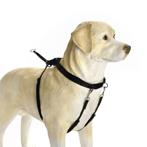 Beeztees Hundegeschirr Gentle Walker schwarz, Größe: L