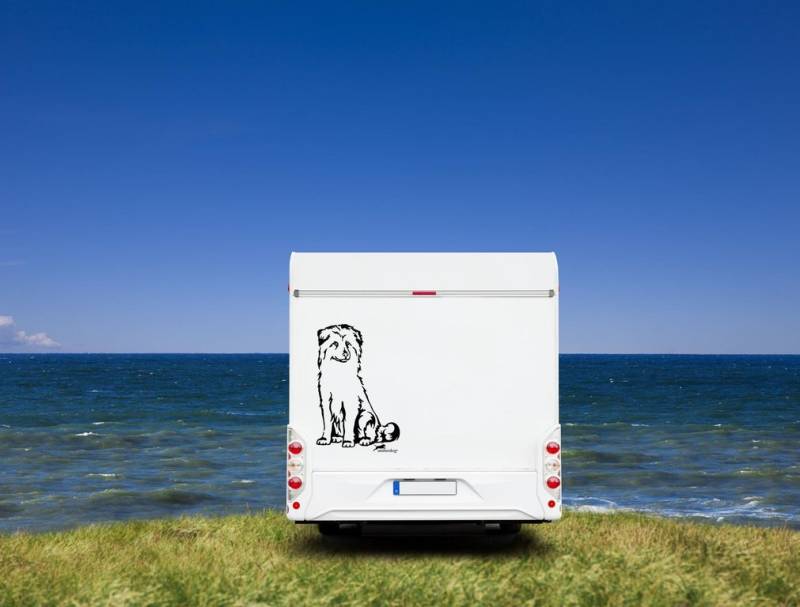 Berger des Pyrènèes - Pyrenäen-Schäferhund Wohnmobil Aufkleber I Wandtattoo - H20cm / Weiß