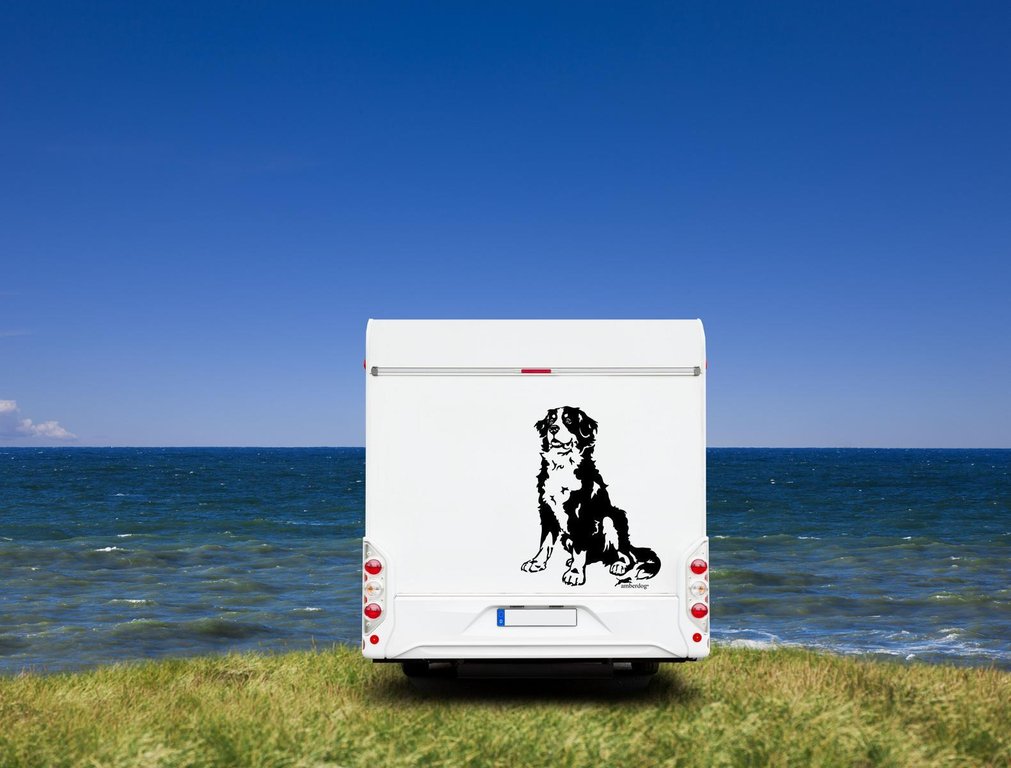 Berner Sennenhund Wohnmobil Aufkleber  I Wandtattoo - H50cm / Weiß