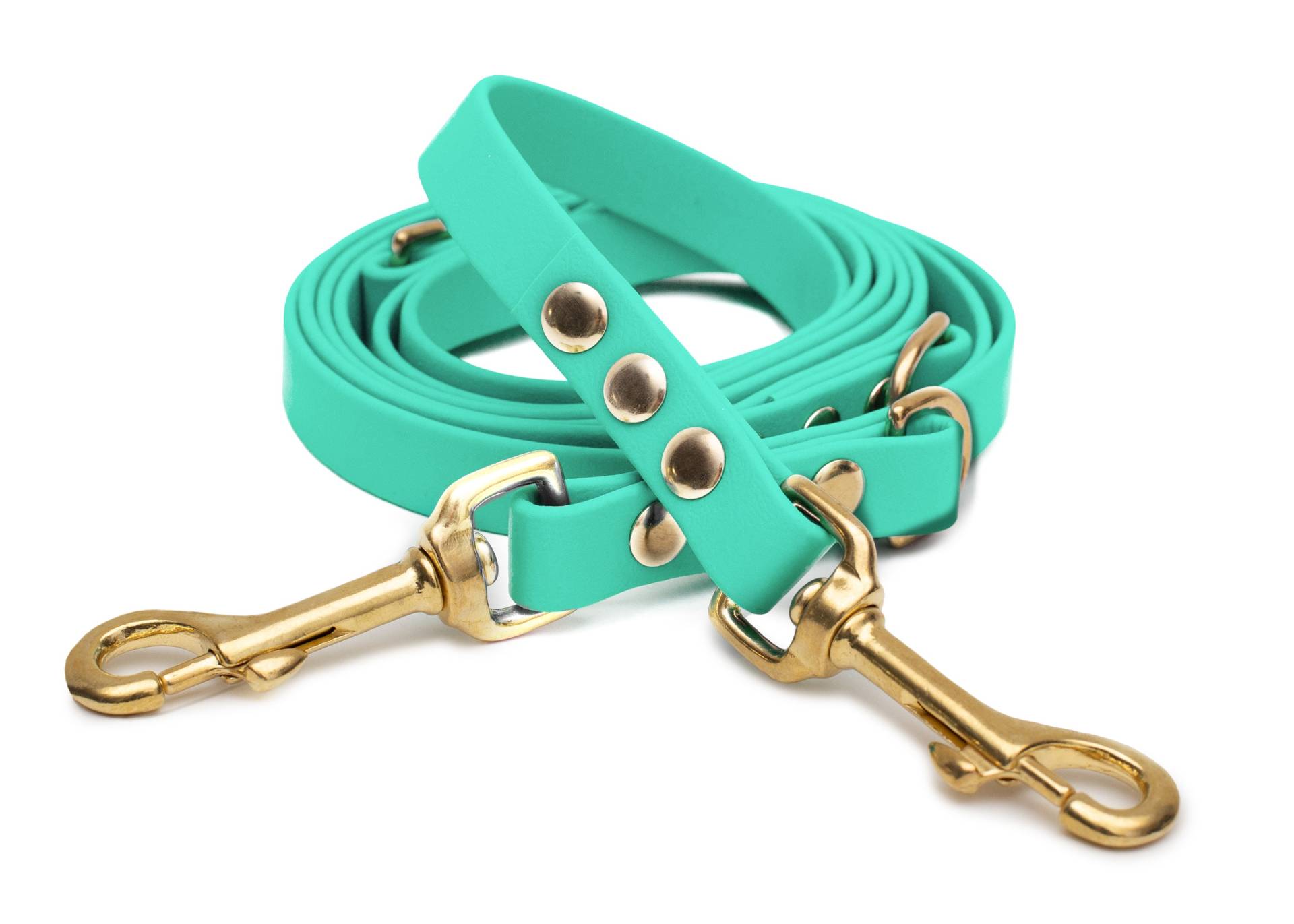 Biothaneleine Mint 25mm / 2m / Bolzenkarabiner Gold von EMMY&PEPE