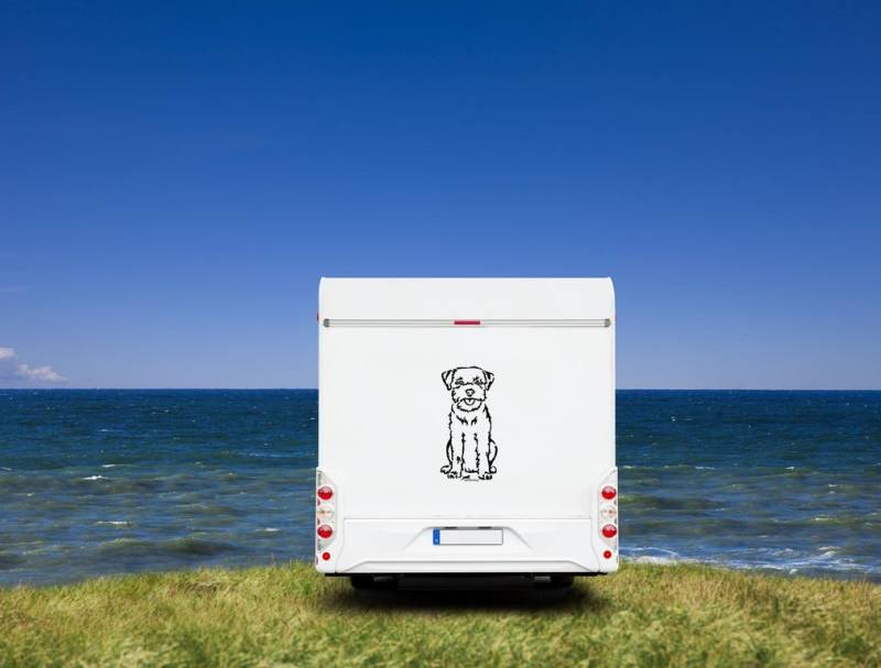 Border Terrier Wohnmobil Aufkleber I Wandtattoo - H50cm / Schwarz