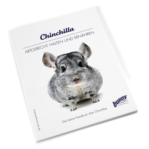 Bunny Nature bunnyBooks Chinchilla