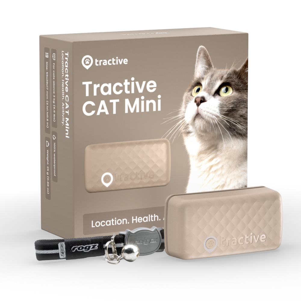 CAT Mini - Braun