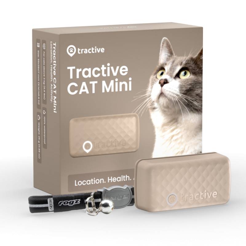 CAT Mini - Braun