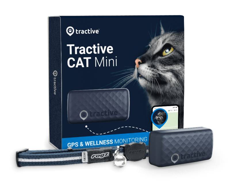 CAT Mini - Dunkelblau
