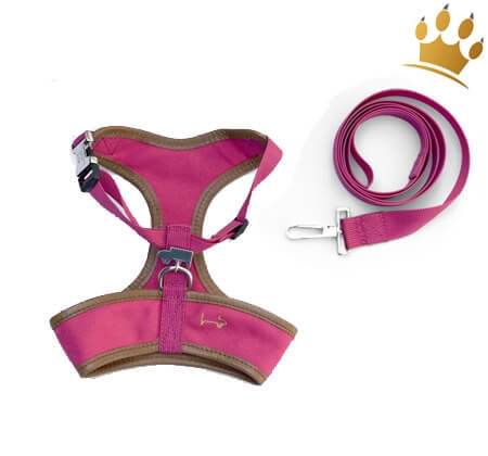 Canvas Harness-Set Pink