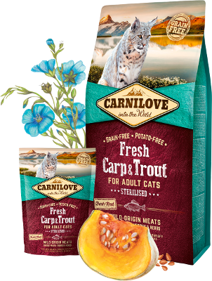 Carnilove Cat Trockenfutter für Katzen Adult Fresh - Carp & Trout - 6kg