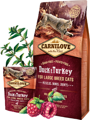 Carnilove Cat Trockenfutter für Katzen Adult Fresh - Carp & Trout - Sparpaket: 5 x 2kg
