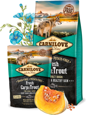 Carnilove Dog Trockenfutter für Hunde  Adult Fresh- Carp & Trout - Sparpaket: 2 x 12kg