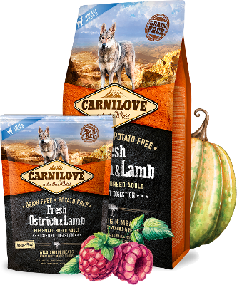 Carnilove Dog Trockenfutter für Hunde Adult Fresh Small Breeds - Ostrich & Lamm - Sparpaket: 2 x 6kg