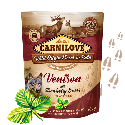 Carnilove Nassfutter für Hunde Adult Beutel Hirsch & Erdbeerblätter - Sparpaket: 12 x 300g