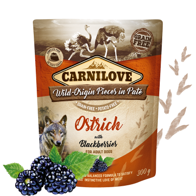 Carnilove Nassfutter für Hunde Adult Beutel Strauß & Brombeeren - Sparpaket: 12 x 300g