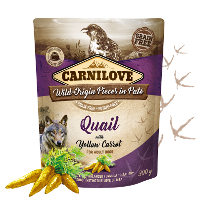 Carnilove Nassfutter für Hunde Adult Beutel Wachtel & gelbe Karotte - Sparpaket: 12 x 300g