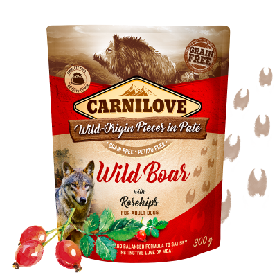 Carnilove Nassfutter für Hunde Adult Beutel Wildschwein & Hagebutten - Sparpaket: 12 x 300g