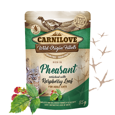 Carnilove Nassfutter für Katze Rich in Pheasant enriched with Raspberry - Sparpaket: 24 x 85g
