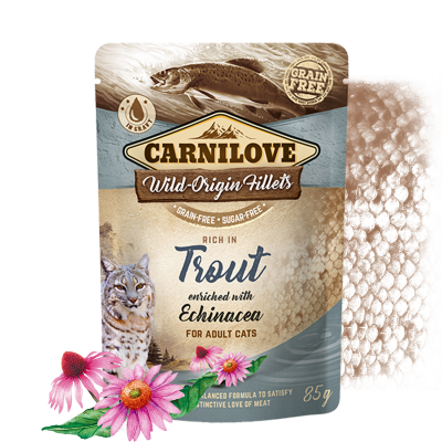 Carnilove Nassfutter für Katze Rich in Trout enriched with Echinacea - Sparpaket: 24 x 85g