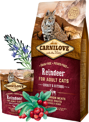 Carnilove Trockenfutter für Katzen Cat Adult -Rentier - Sparpaket: 3 x 6kg