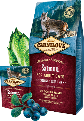 Carnilove Trockenfutter für Katzen Cat Adult - Salmon - Sparpaket: 3 x 6kg