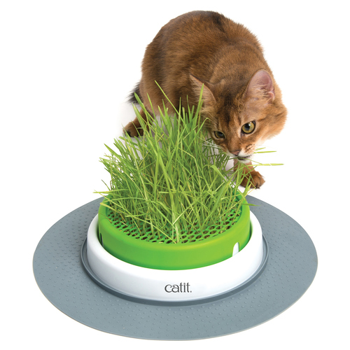 Catit Senses 2.0 Gras-Topf